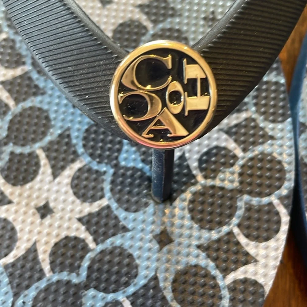 Coach Alessa Women's Patterned Blue Sandals